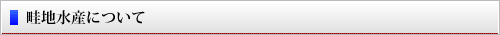 畦地水産について
